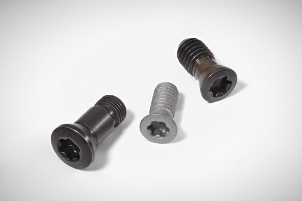 Screws with head