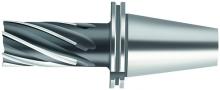 Walter Tool 5001560 - Walter Tool -5001560